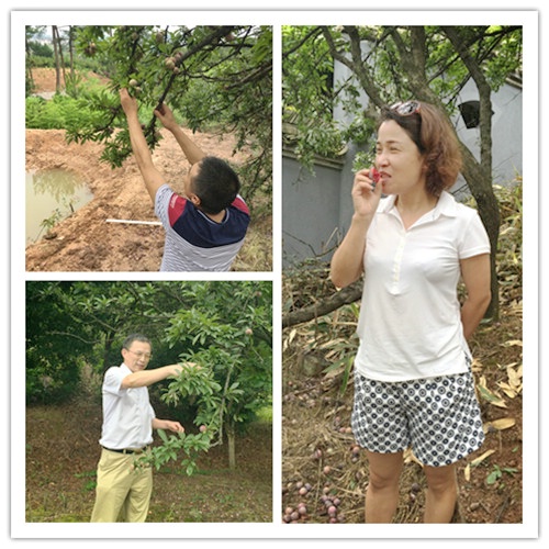 仙鶴股份有限公司官方網站 仙鶴股份有限公司官方網站